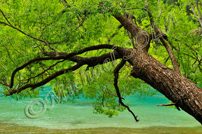 © Smike Photography by Michael Sola - All Rights Reserved